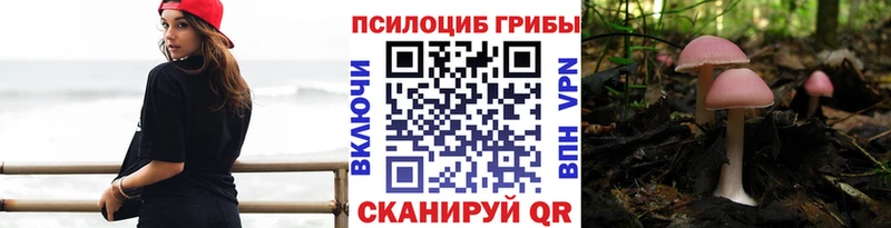 Галлюциногенные грибы Psilocybe  купить  сайты  Новосиль 